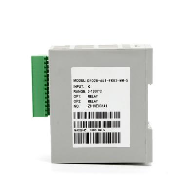 Two Channel dual loop PID controller